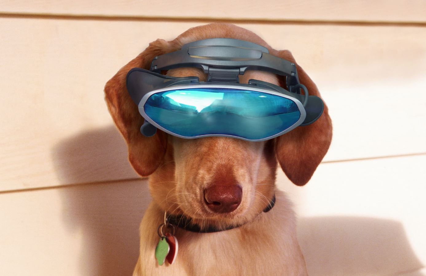 Technology Redefining the Modern Human, Animal Bond